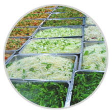 餐飲管理公司食品簡(jiǎn)加工類特別專欄 提升效率與品質(zhì)的管理策略